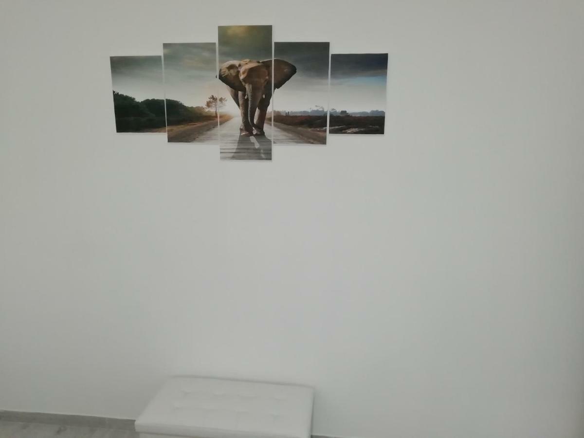 Casa Mia Otel Domegliara Dış mekan fotoğraf